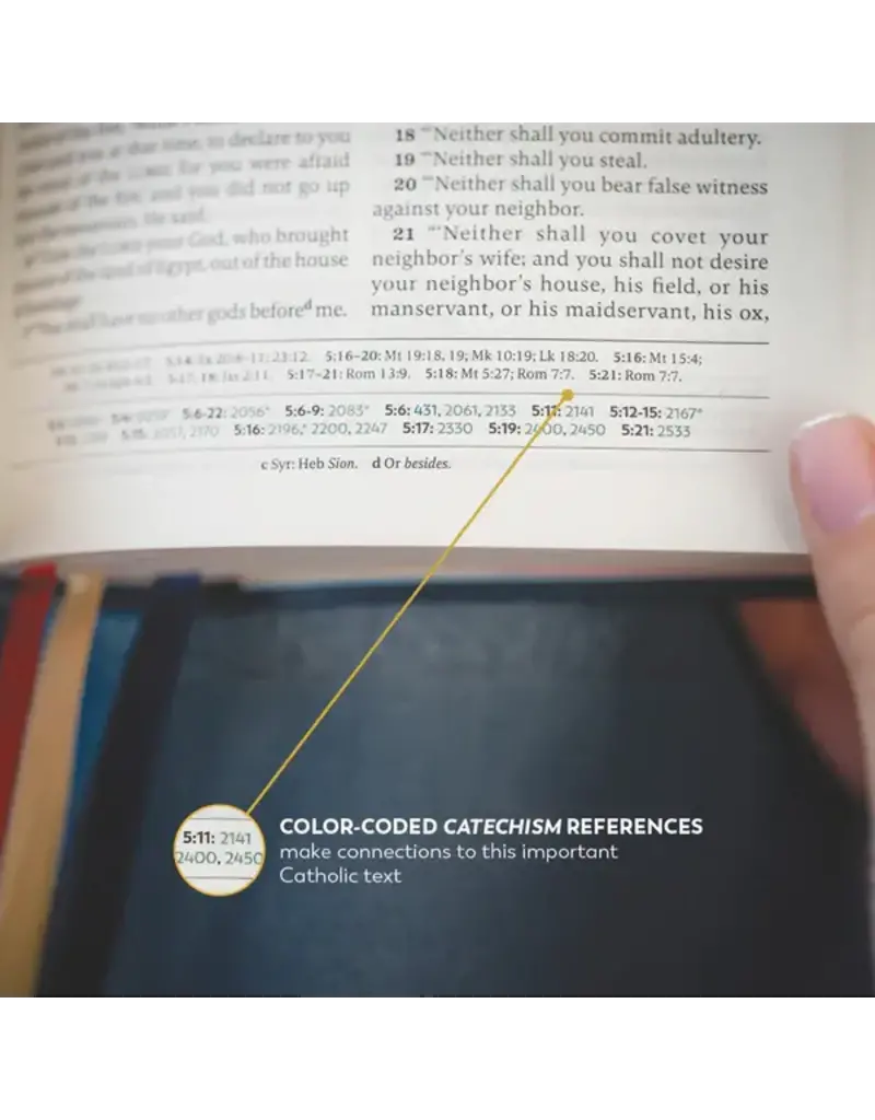 Ascension Press The Great Adventure Catholic Bible, RSV - Faux Leather