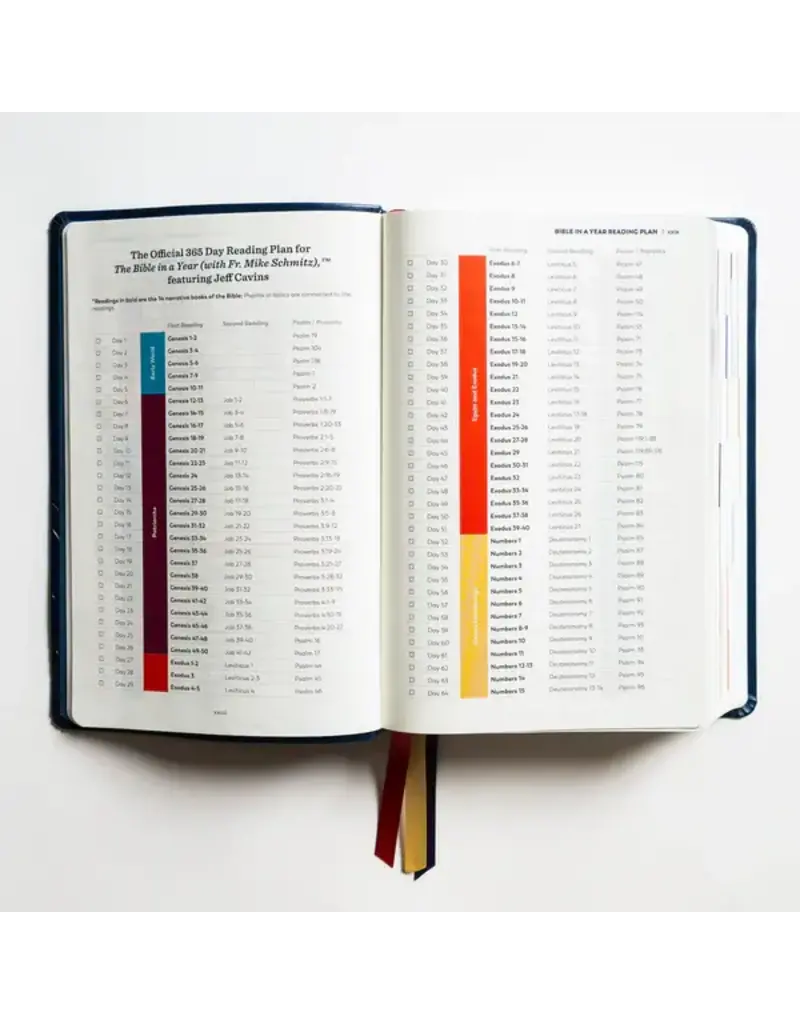 Ascension Press The Great Adventure Catholic Bible, RSV - Faux Leather