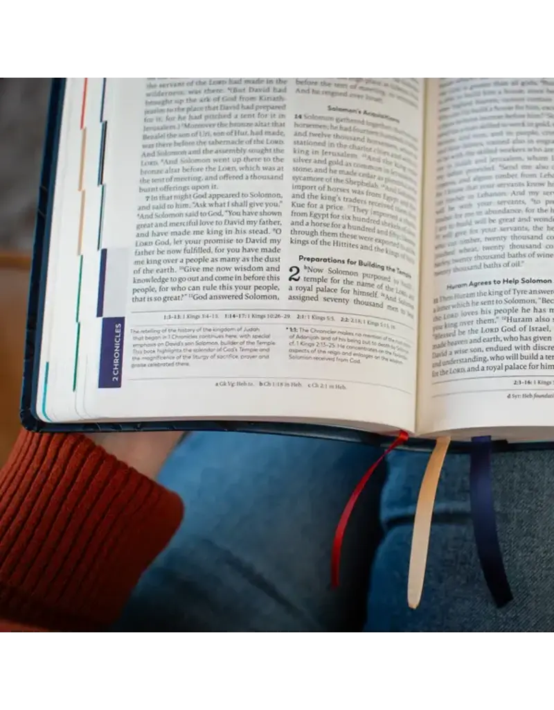 Ascension Press The Great Adventure Catholic Bible, RSV - Faux Leather