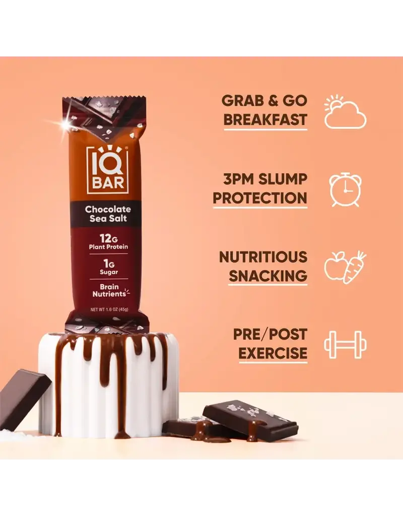 IQBAR IQBAR Chocolate Sea Salt Keto Protein Bar