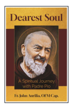 Our Sunday Visitor Dearest Soul: A Spiritual Journey with Padre Pio