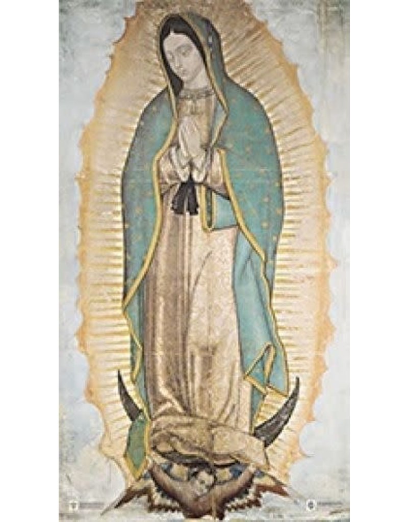 Marian Press 10" x 17" Our Lady of Guadalupe Poster