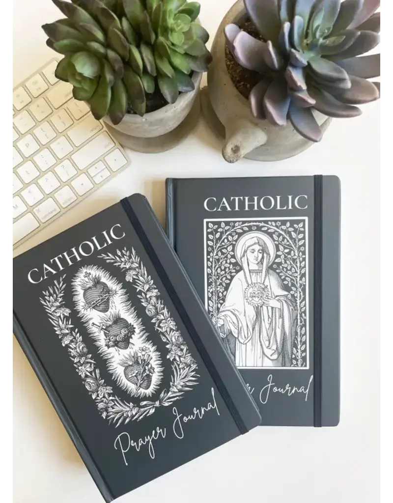 The Stump of Jesse Catholic PrayerJournal | Lectio Divina | Examen St. Ignatius| Immaculate Mary