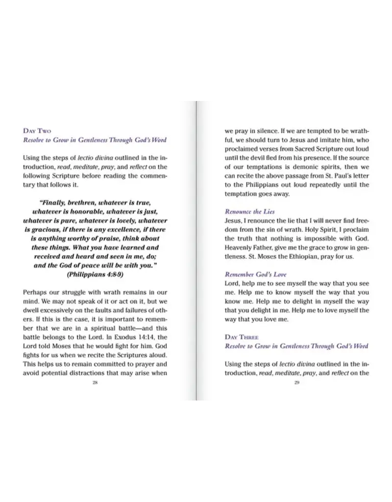 Ascension Press Pocket Guide to Overcoming the Seven Deadly Sins