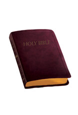 Fireside Catholic Publishing NABRE Catholic Companion Bible - Burgundy