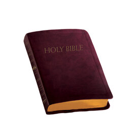 Fireside Catholic Publishing NABRE Catholic Companion Bible - Burgundy