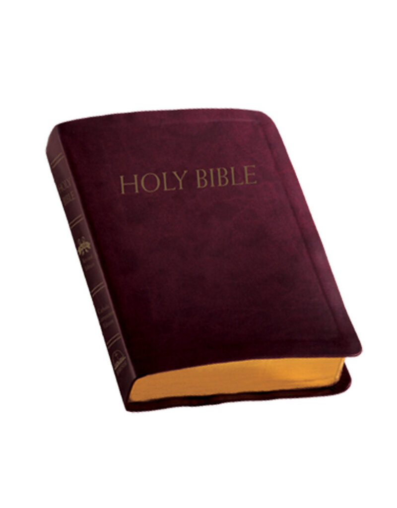 Fireside Catholic Publishing NABRE Catholic Companion Bible - Burgundy