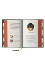 Word on Fire The Story of All Stories: A Story Bible for Young Catholics