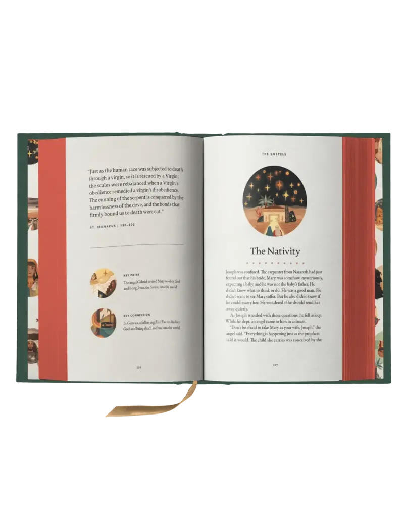 Word on Fire The Story of All Stories: A Story Bible for Young Catholics