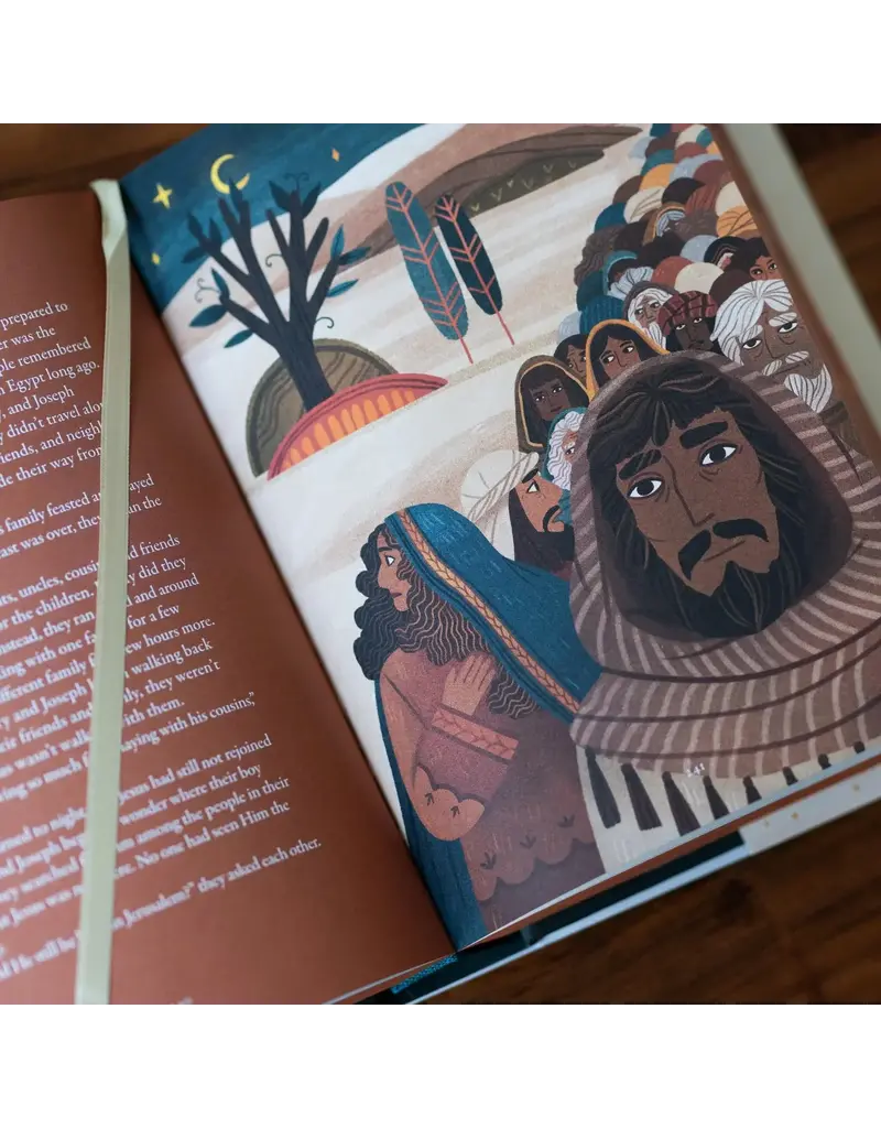 Word on Fire The Story of All Stories: A Story Bible for Young Catholics