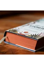 Word on Fire The Story of All Stories: A Story Bible for Young Catholics