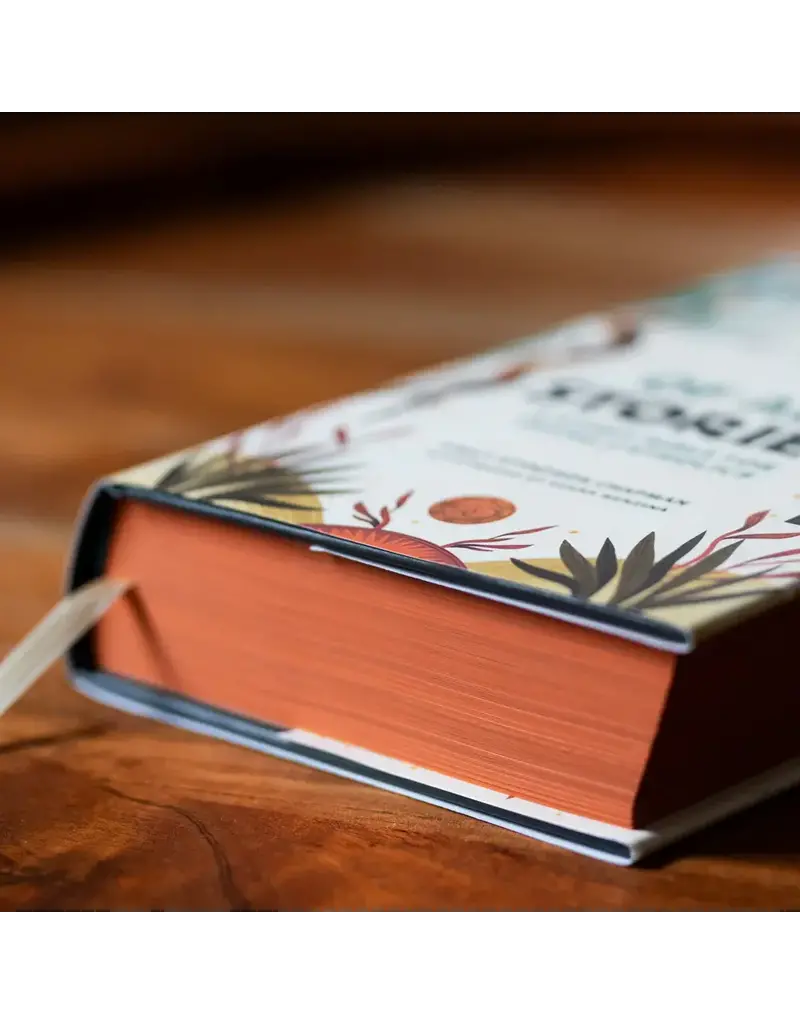 Word on Fire The Story of All Stories: A Story Bible for Young Catholics