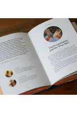 Word on Fire The Story of All Stories: A Story Bible for Young Catholics