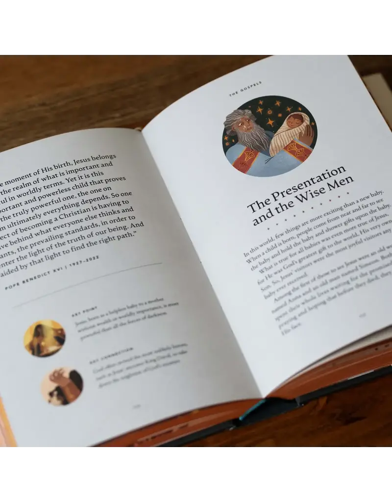 Word on Fire The Story of All Stories: A Story Bible for Young Catholics