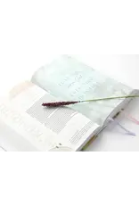 Ave Maria Press Living the Word Catholic Women's Study Bible RSV2CE