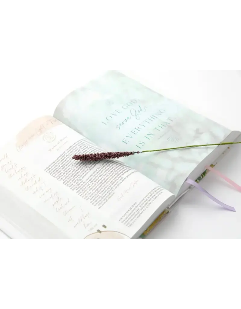 Ave Maria Press Living the Word Catholic Women's Study Bible RSV2CE