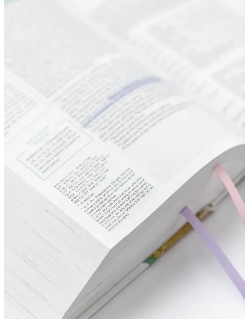 Ave Maria Press Living the Word Catholic Women's Study Bible RSV2CE