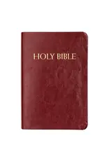 Fireside Catholic Publishing NABRE Catholic Companion Bible - Burgundy