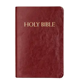 Fireside Catholic Publishing NABRE Catholic Companion Bible, Fireside - Burgundy