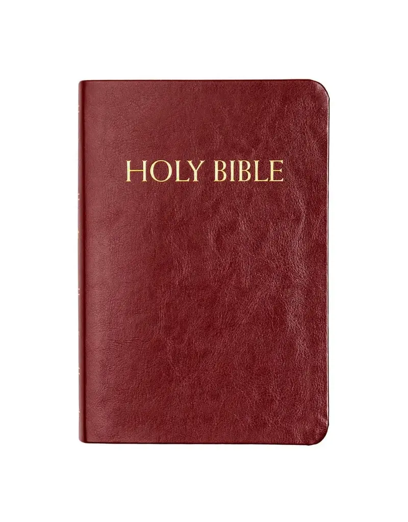 Fireside Catholic Publishing NABRE Catholic Companion Bible - Burgundy