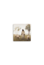 Sincere Surroundings Coaster-Jesus & Sheep (4 x 4)
