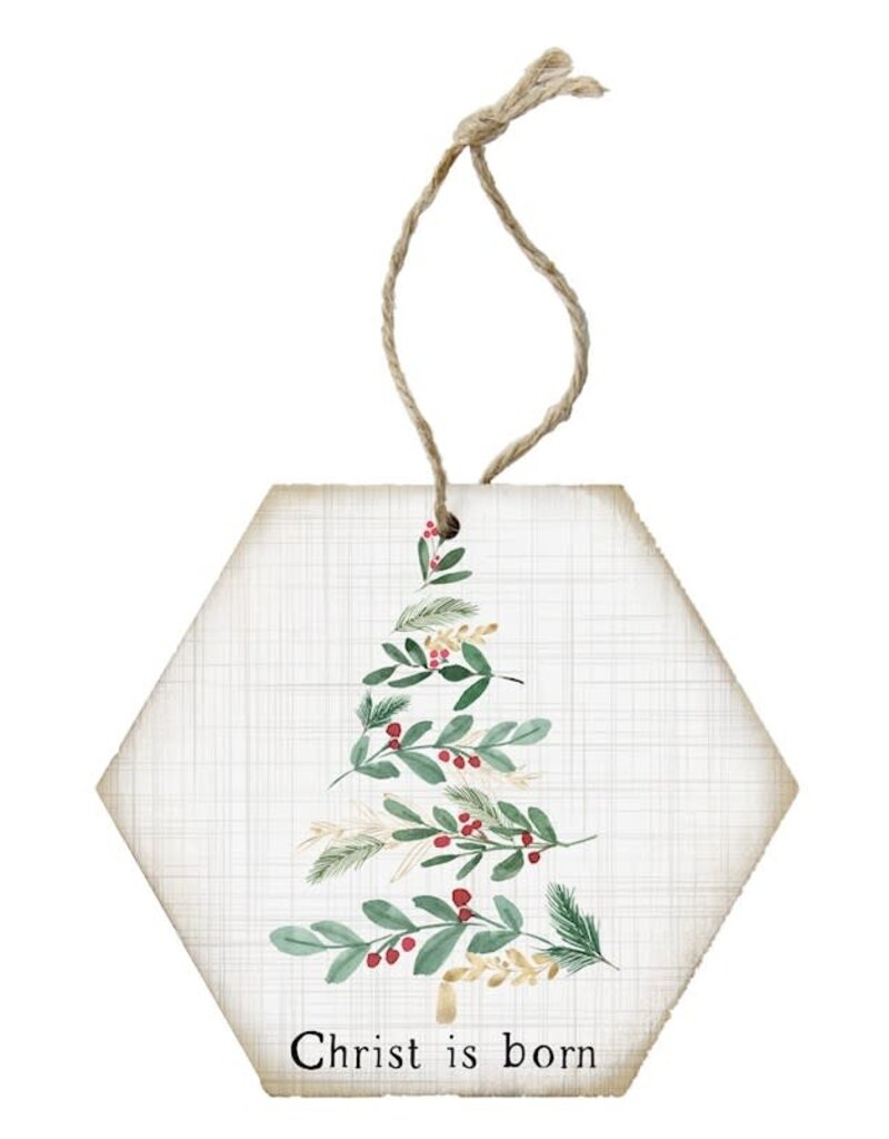 Sincere Surroundings Ornament-Honeycomb-Christ Is Born (6.875 x 4.5)