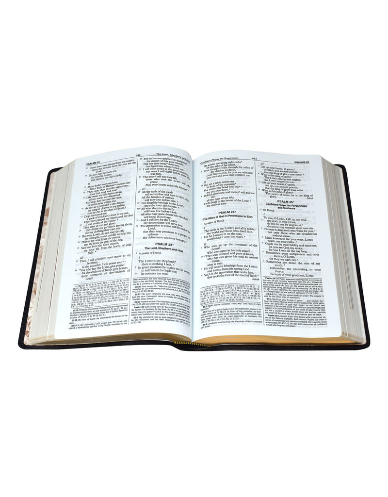 Catholic Book Publishing Corp Large Print New American Bible Black Leather St. Joseph Edition