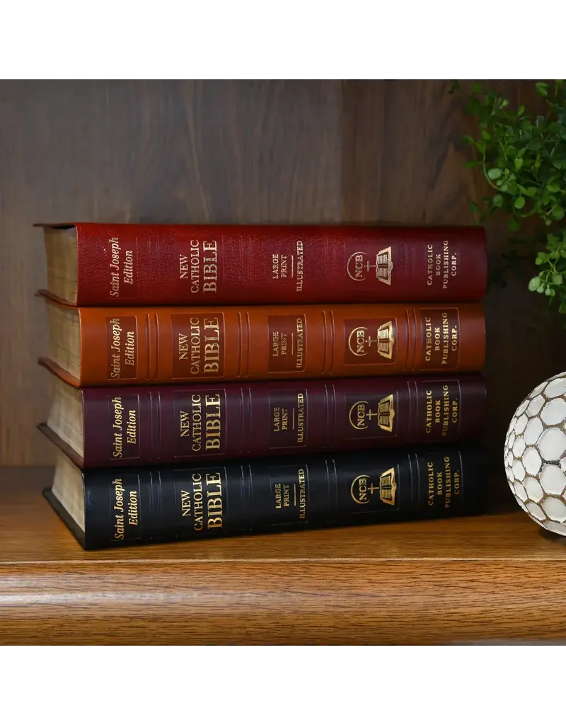 Catholic Book Publishing Corp Large Print New American Bible Black Leather St. Joseph Edition