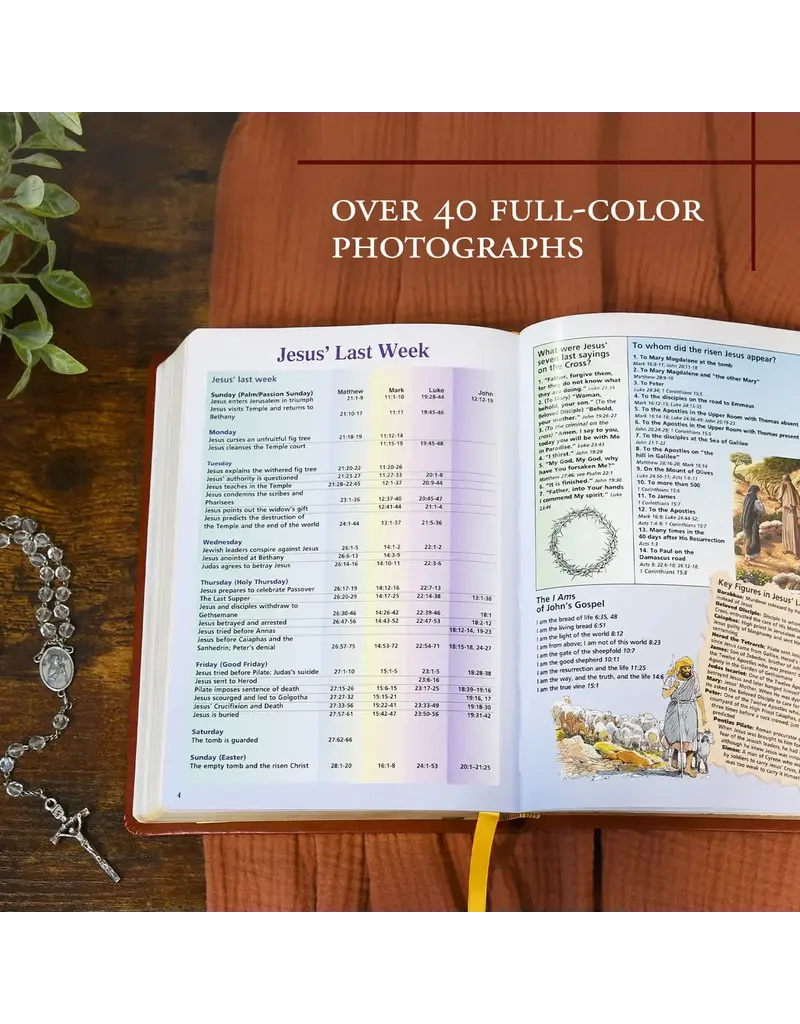 Catholic Book Publishing Corp Large Print New American Bible Black Leather St. Joseph Edition