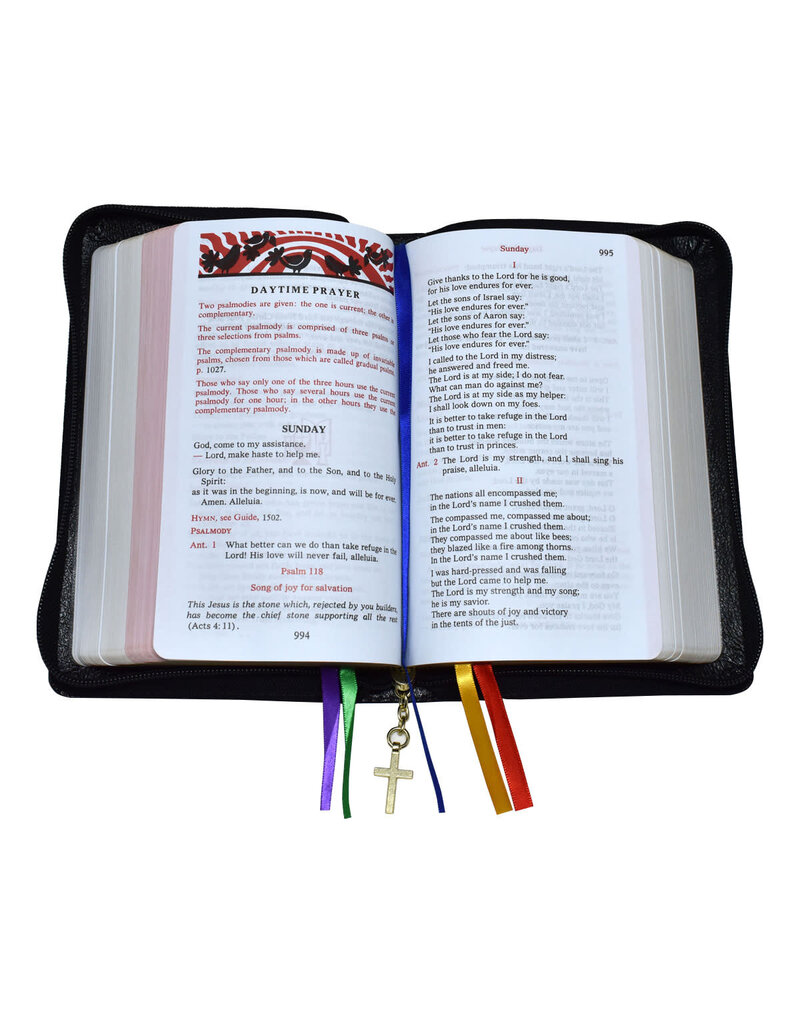 Catholic Book Publishing Corp Christian Prayer (Black Leather)