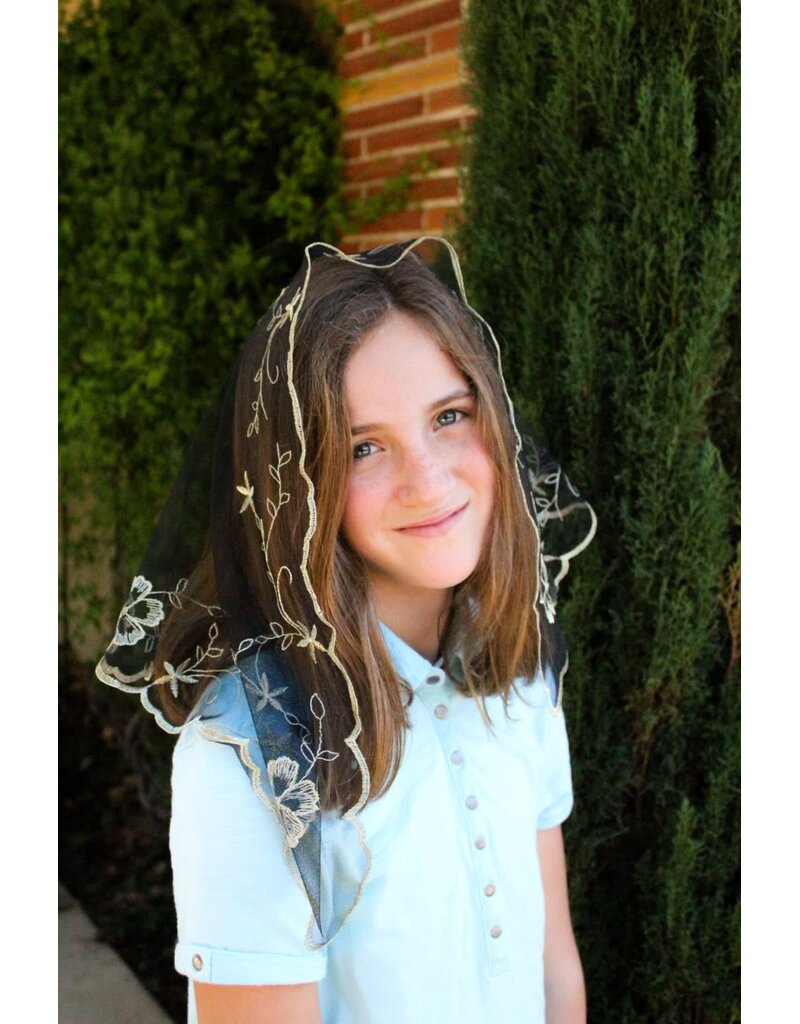 St. Stephen's Bookstore Spanish Mantilla Veil Rosa