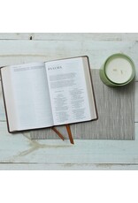 Catholic Bible Press NRSV Catholic Gift Bible (Comfort Print) - Teal Leathersoft