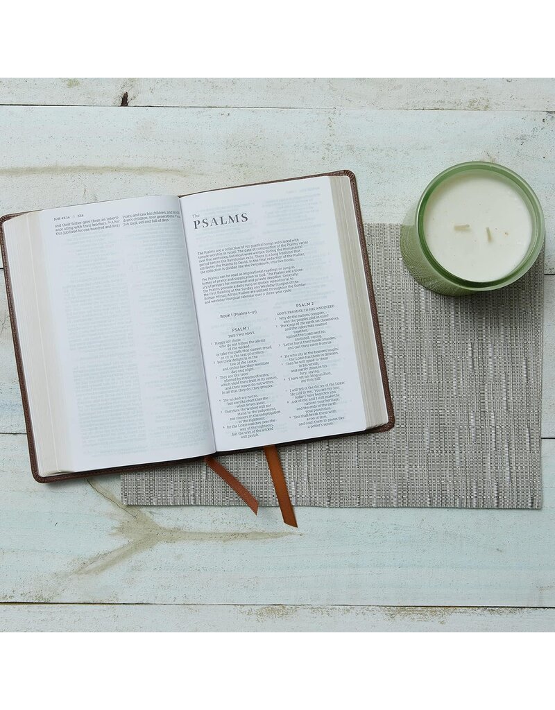 Catholic Bible Press NRSV Catholic Gift Bible (Comfort Print) - Teal Leathersoft