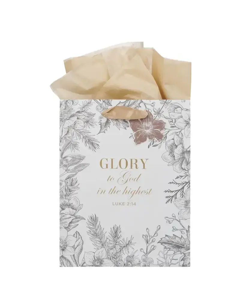 Christian Art Gifts Glory to God Luke 2:14 medium gift bag