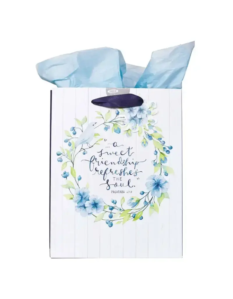 Christian Art Gifts Sweet Friendship Prov. 27:9 Gift Bag Medium