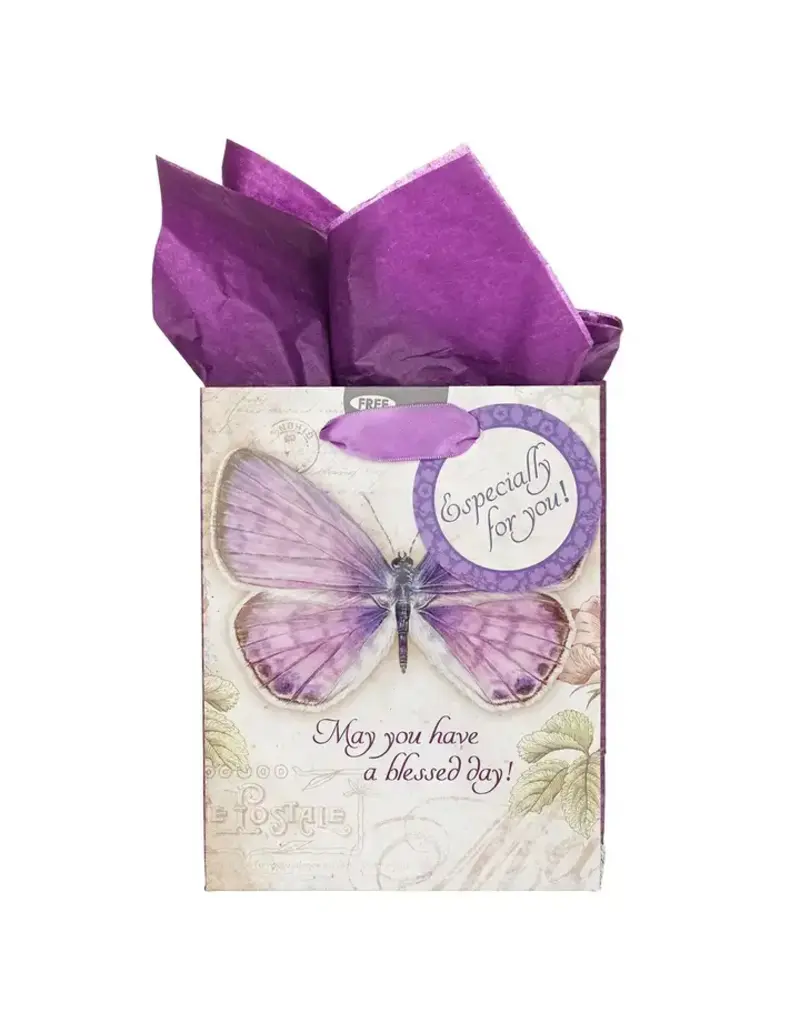 Christian Art Gifts Have Blessed Day Num. 6:24 Gift Bag Small