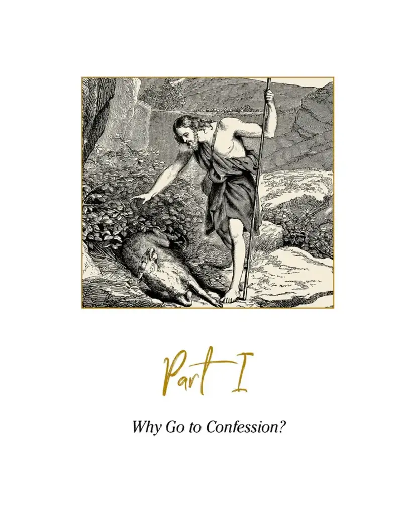 Ascension Press Pocket Guide to the Sacrament of Reconciliation