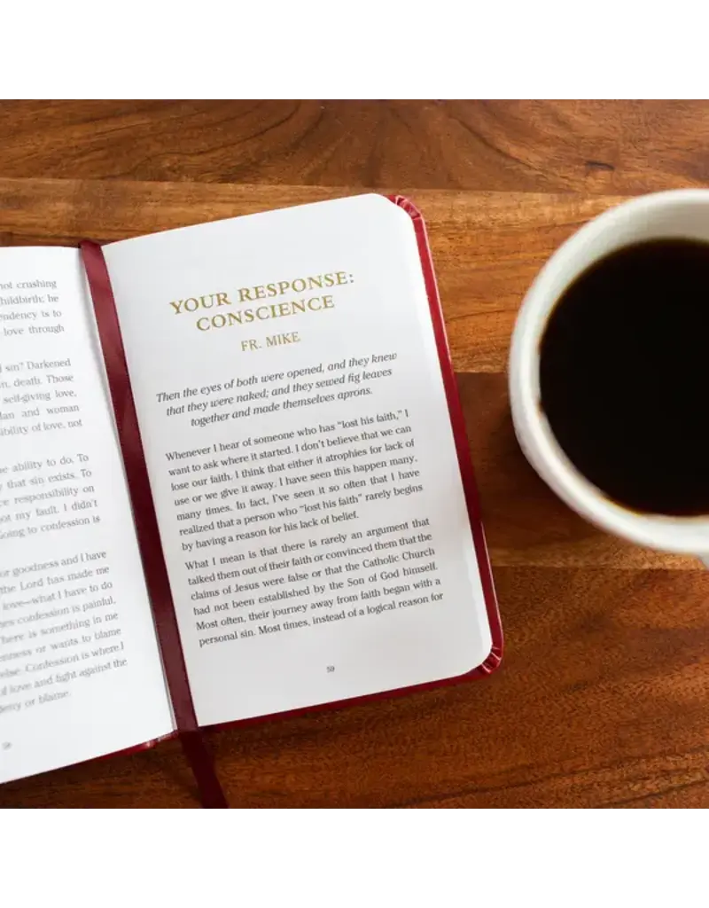 Ascension Press Pocket Guide to the Sacrament of Reconciliation