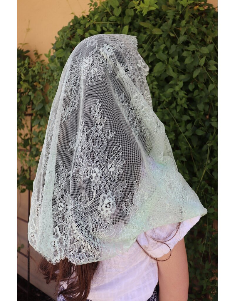 St. Stephen's Bookstore Spanish Mantilla Infinity Veil Francisca