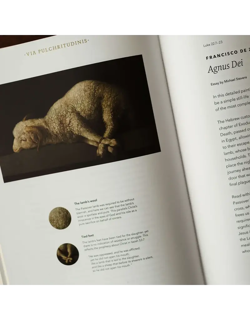 Word on Fire Word on Fire Bible: The Gospels NRSV