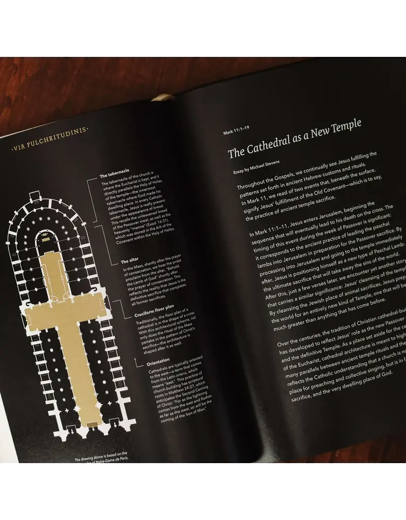 Word on Fire Word on Fire Bible: The Gospels NRSV