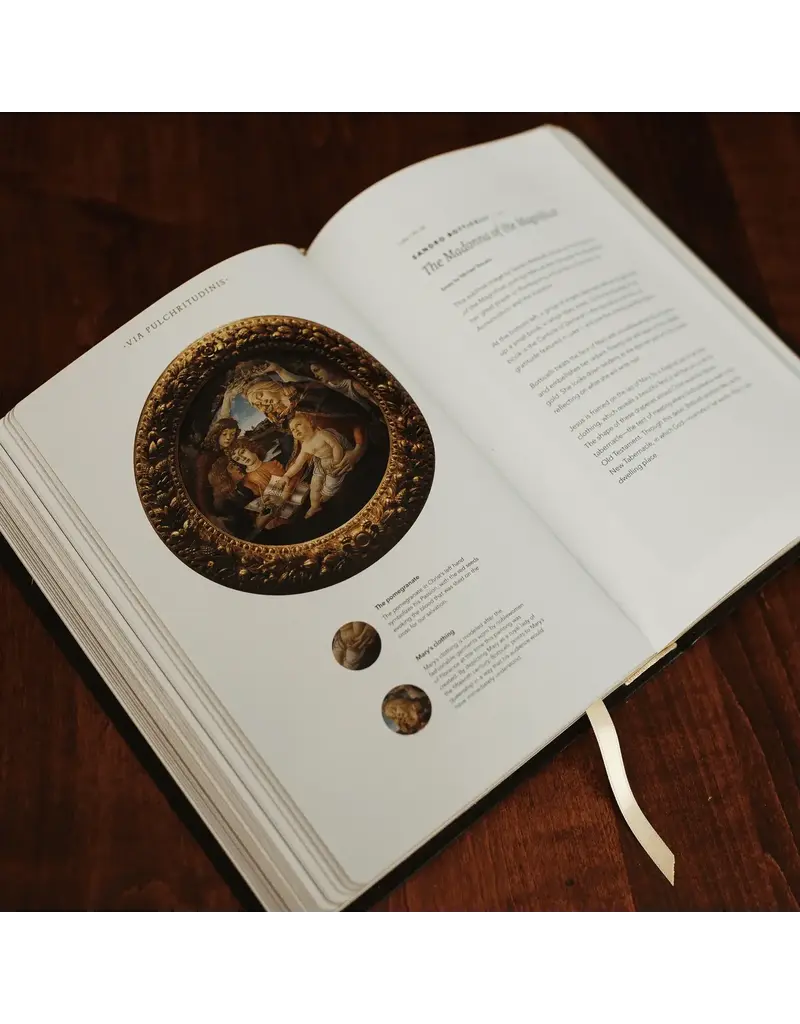 Word on Fire Word on Fire Bible: The Gospels NRSV