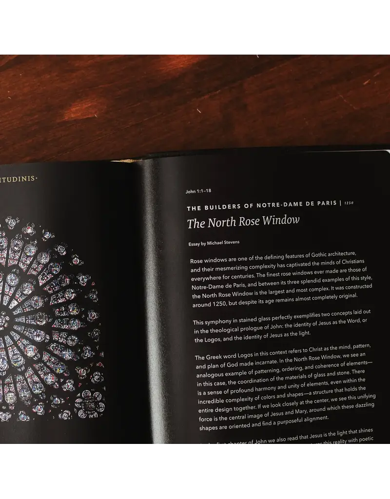 Word on Fire Word on Fire Bible: The Gospels NRSV