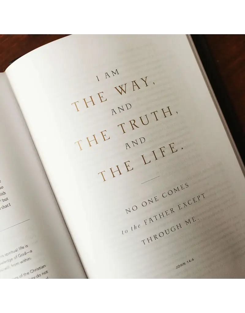 Word on Fire Word on Fire Bible: The Gospels NRSV