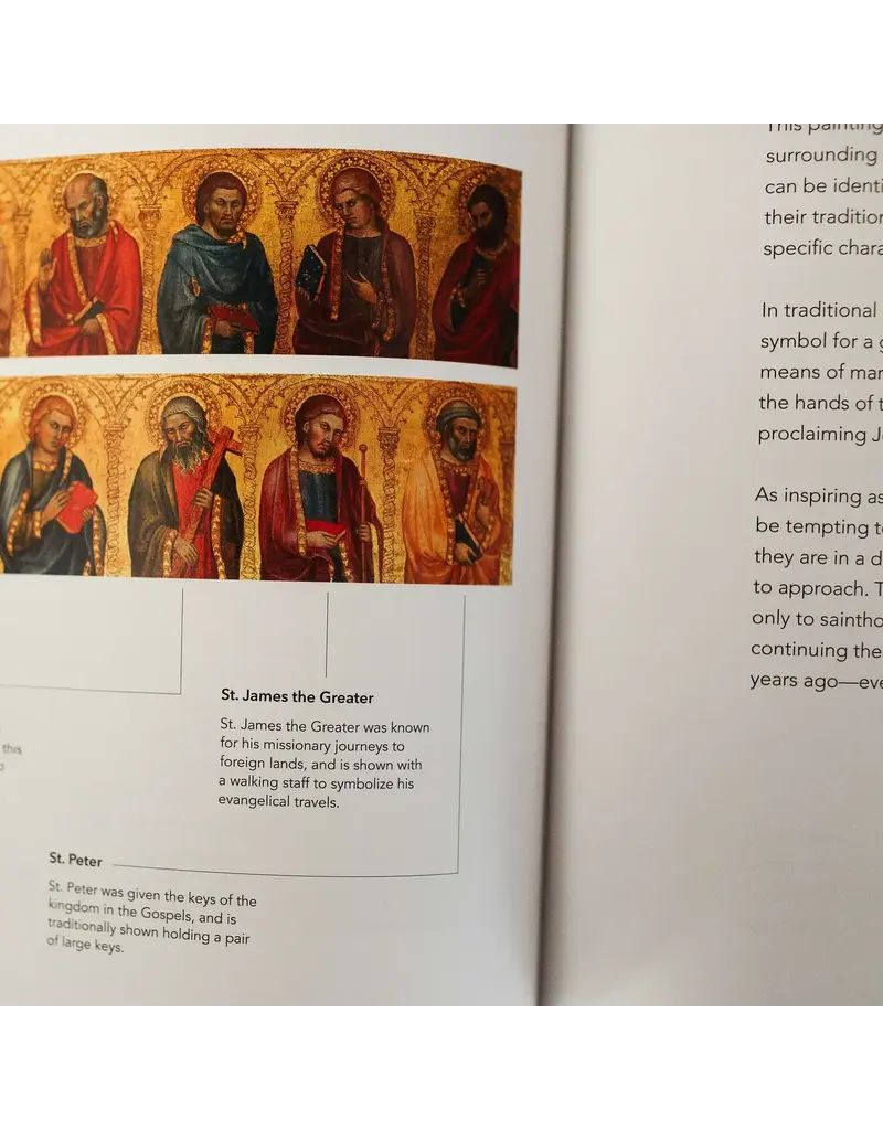 Word on Fire Word on Fire Bible: The Gospels NRSV