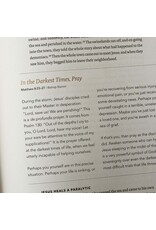 Word on Fire Word on Fire Bible: The Gospels NRSV