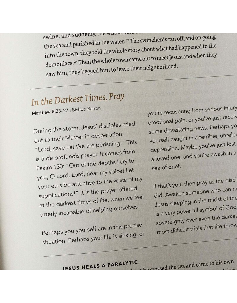 Word on Fire Word on Fire Bible: The Gospels NRSV