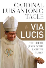 Liturgical Press Via Lucis | The Life of Jesus in the Light of Easter