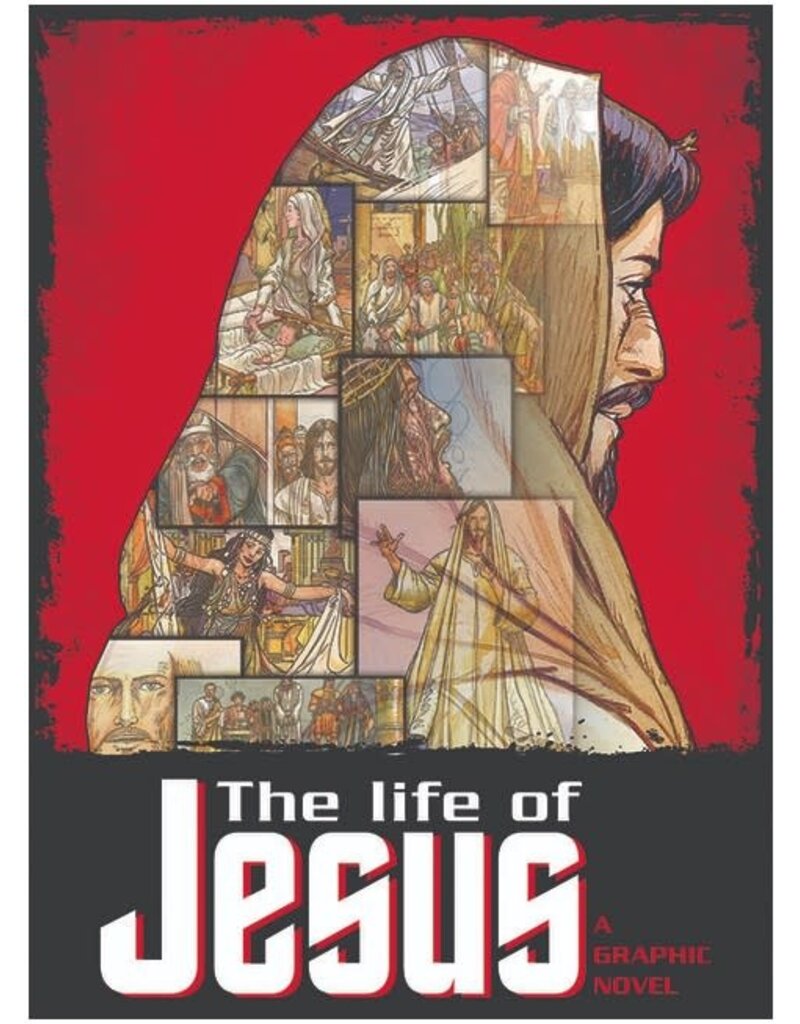 Pauline Books & Publishing The Life of Jesus - A Graphic Novel
