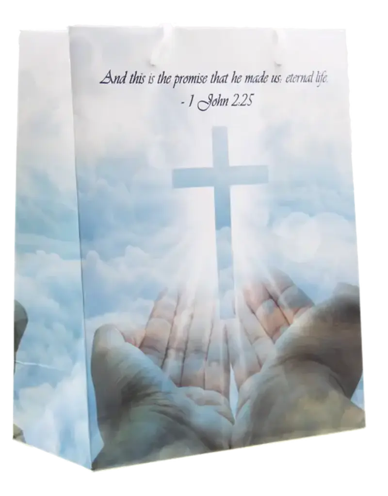 Lumen Mundi John 2:25 Gift Bag with Gift Tissue. 9.75x 7.75 - Large